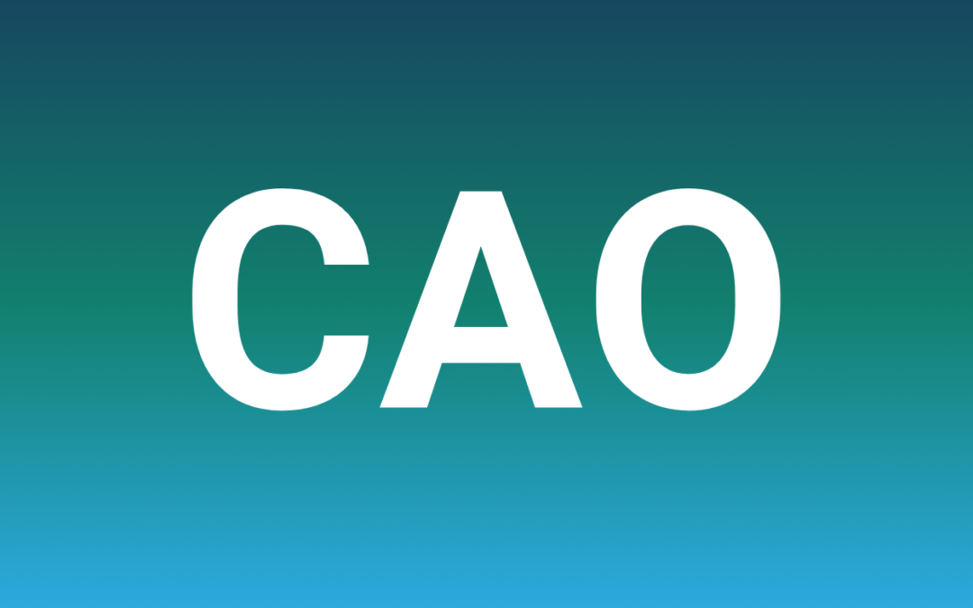 Het Belang van de Wet CAO