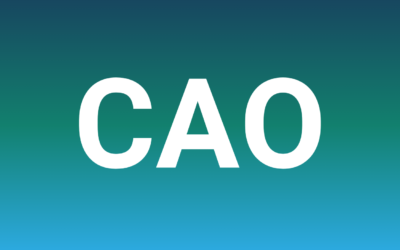 Het Belang van de Wet CAO
