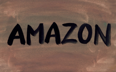 Het Verhaal van het “WorkingWell”-programma van Amazone
